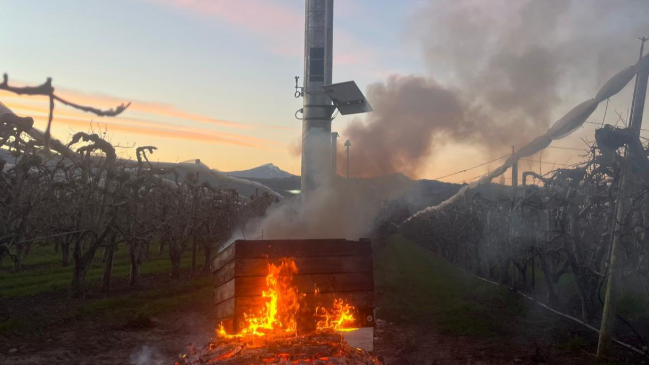 Les arboriculteurs mobilisés pour sauver les cultures dans les vergers Les arboriculteurs mobilisés pour sauver les cultures dans les vergers