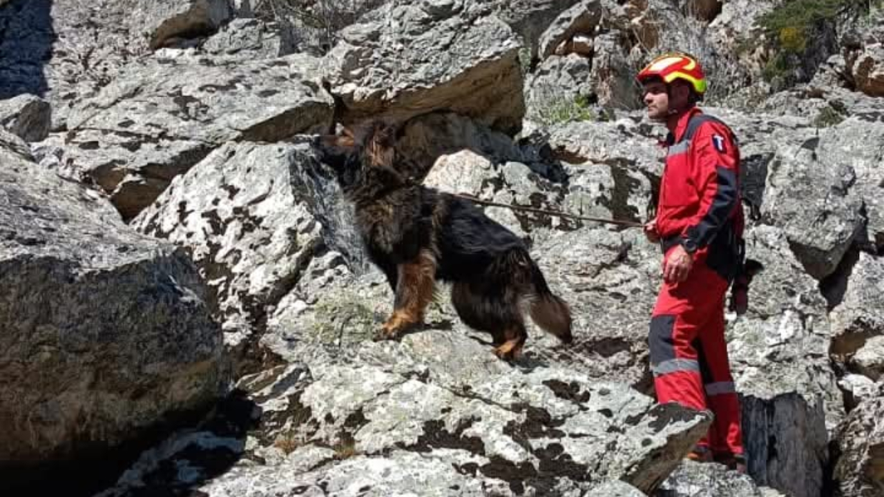 Les &eacute;quipes cynophiles en exercice grandeur nature dans les Hautes-Alpes