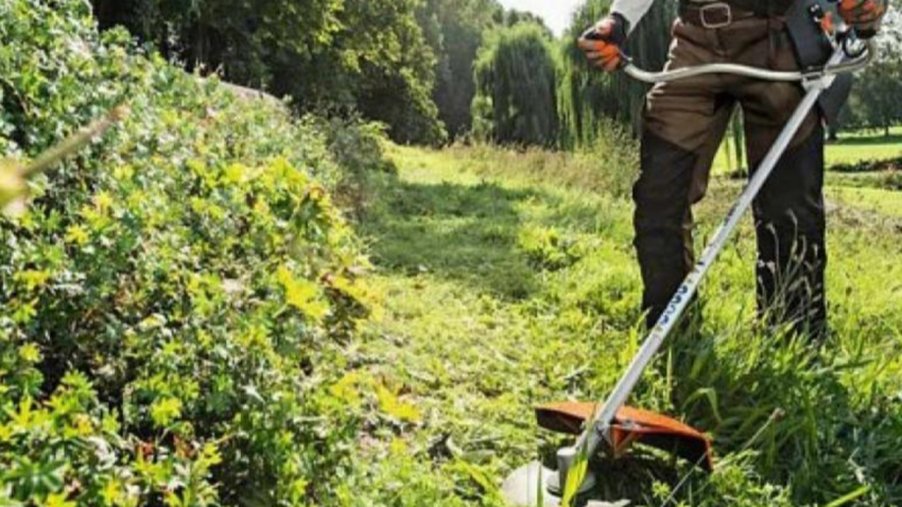 Obligation de d&eacute;broussaillement, la commune de Laragne-Mont&eacute;glin organise une r&eacute;union d&rsquo;information