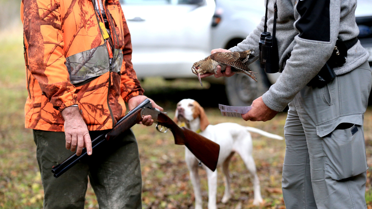Plus de 80 chasseurs contrôlés dans les Hautes-Alpes lors d’une opération d’envergure Plus de 80 chasseurs contrôlés dans les Hautes-Alpes lors d’une opération d’envergure