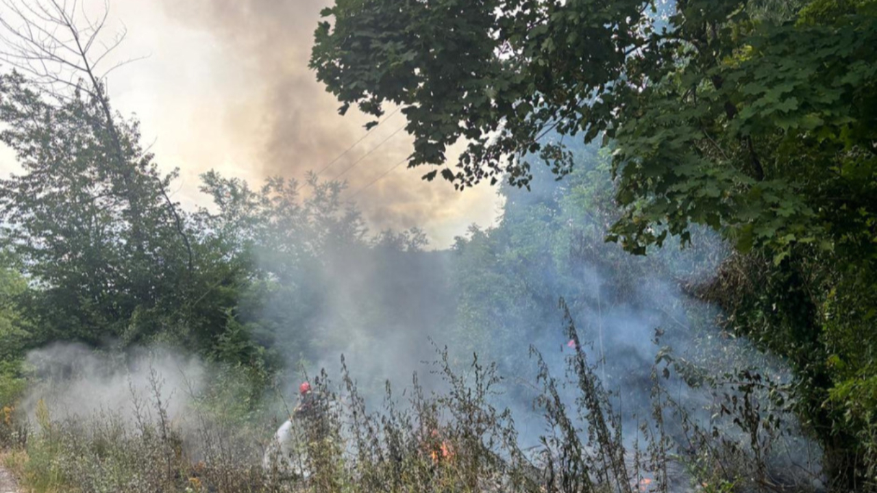 Plusieurs incendies provoqu&eacute;s par imprudence ou n&eacute;gligence ce week-end