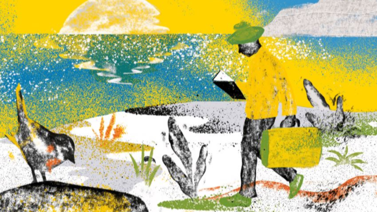 R&eacute;gion : l'&eacute;v&egrave;nement "on lirait le sud" d&eacute;bute ce mercredi pour un mois