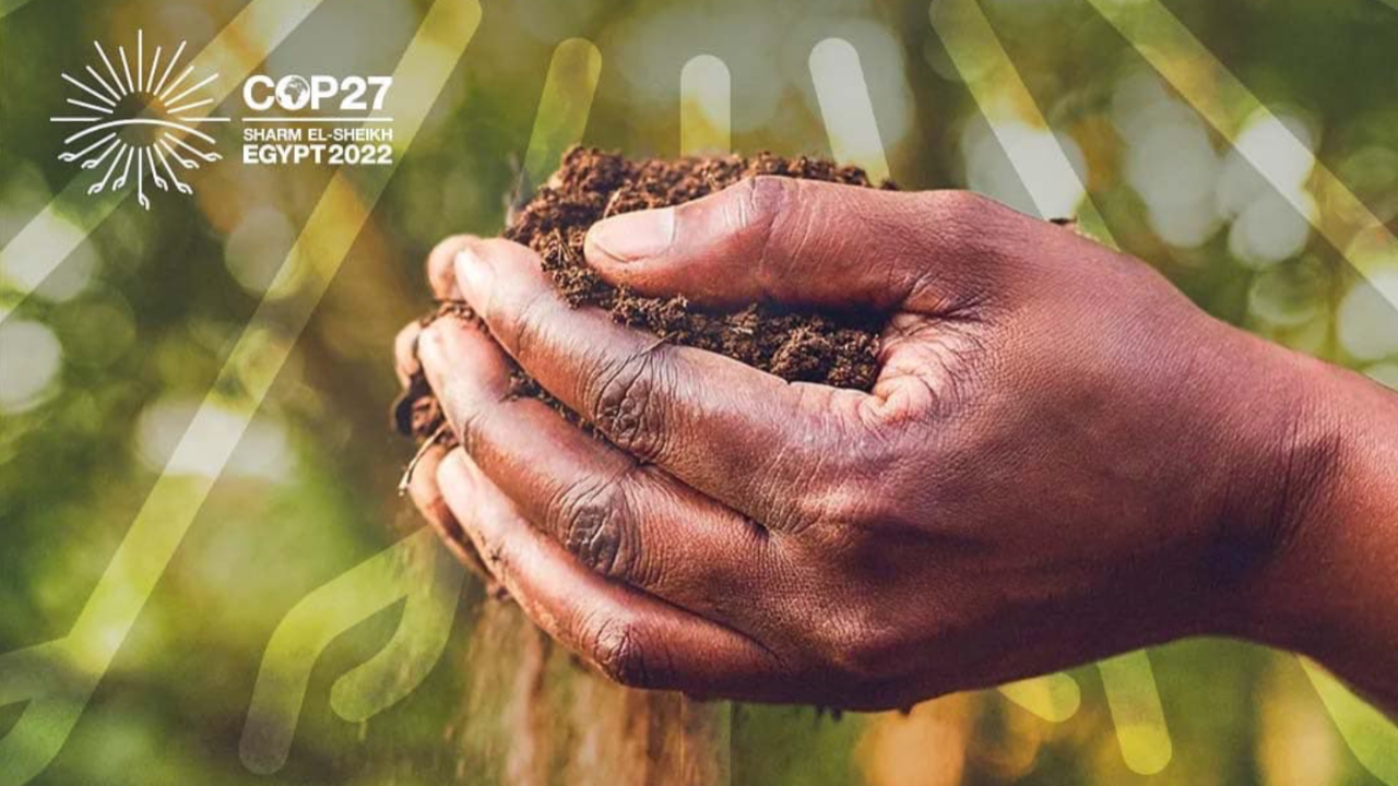 Région PACA : Renaud Muselier se rendra en Égypte pour la COP 27