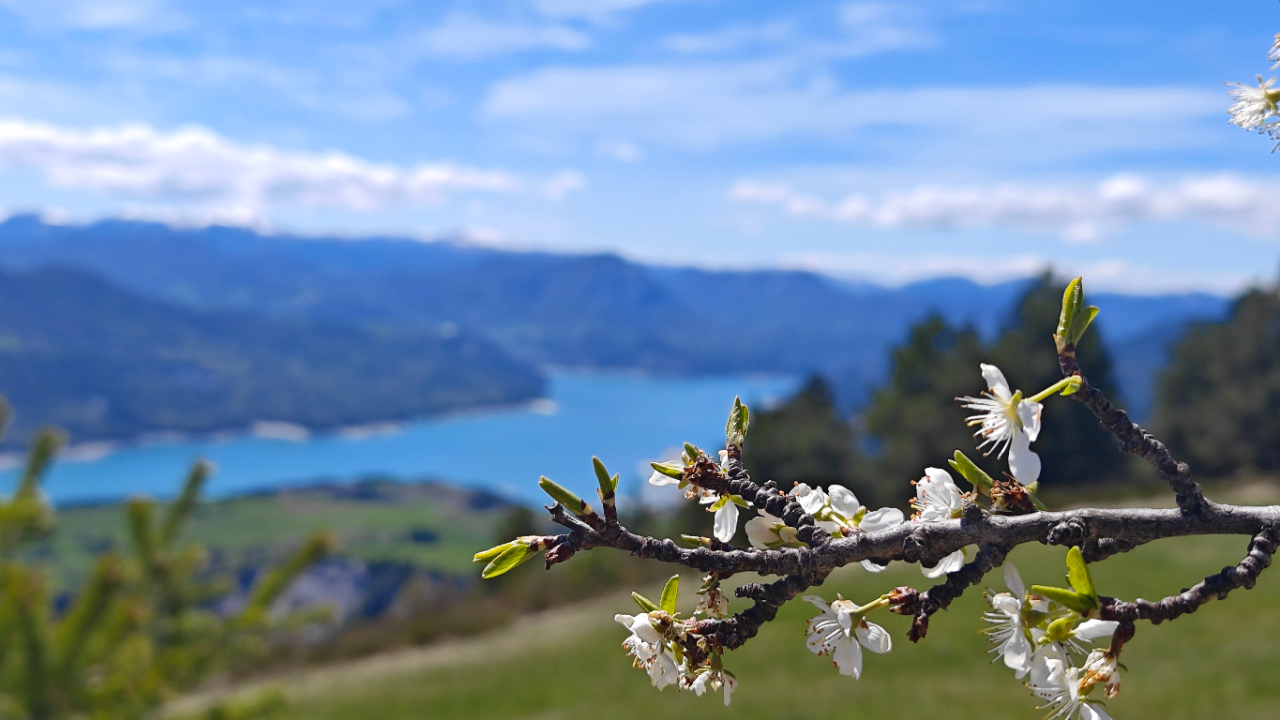 Tous les voyants au vert pour la saison estivale dans les Hautes-Alpes