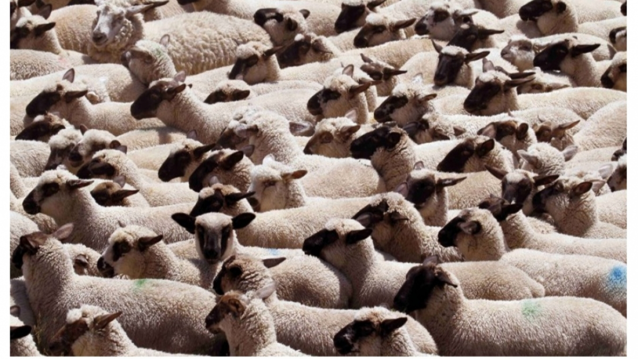 &laquo; Un d&eacute;bat honn&ecirc;te et constructif plut&ocirc;t que des accusations mensong&egrave;res &raquo;