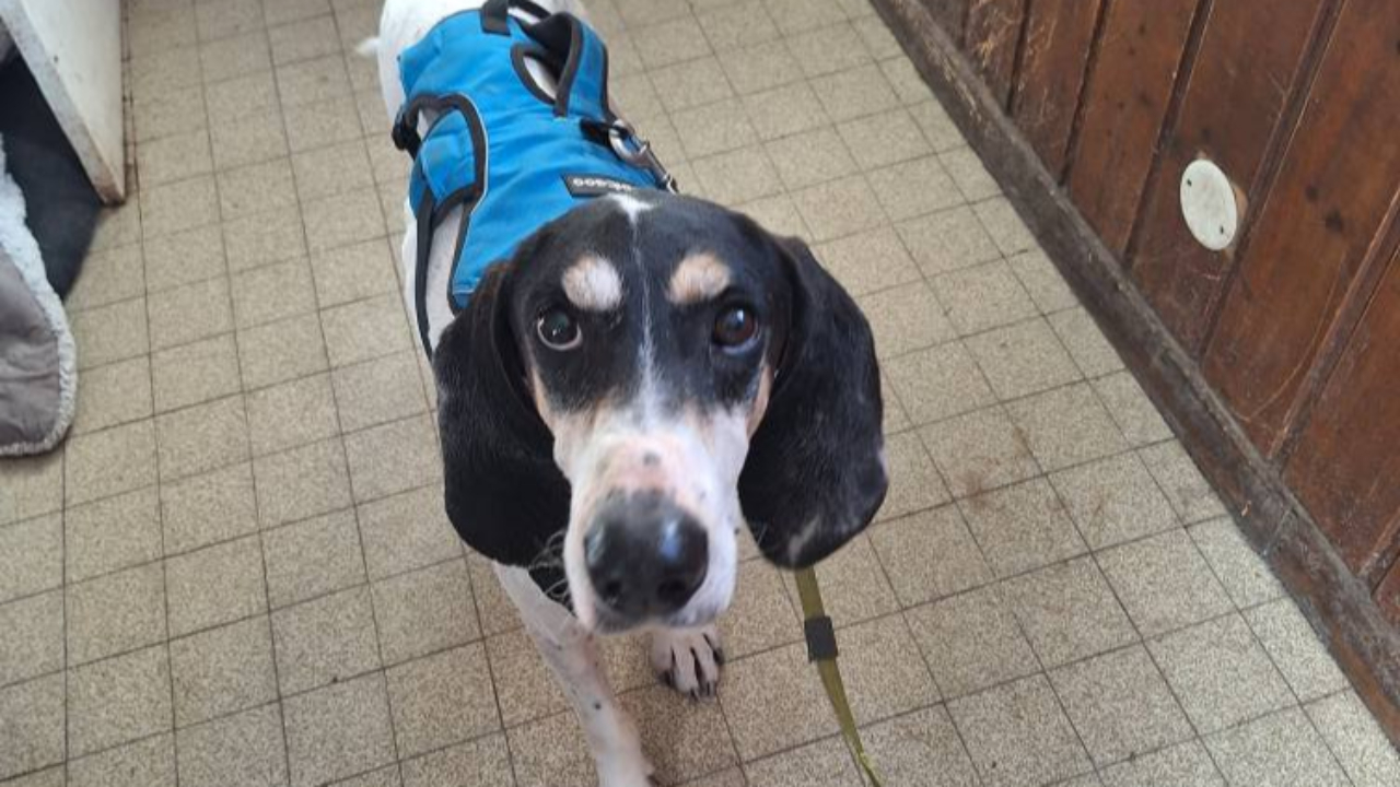 Une situation financi&egrave;re "critique " au refuge d'Embrun