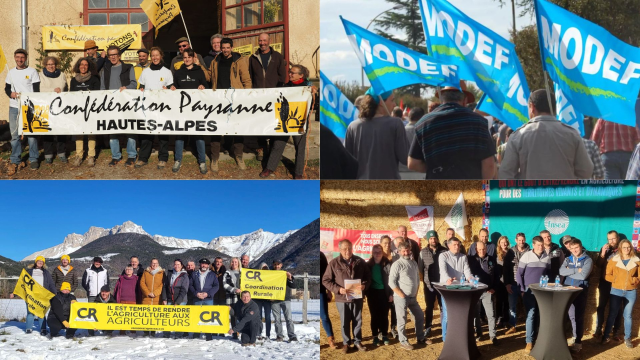 Valorisation du terroir, revenus des agriculteurs, l'eau... quatre visions pour la Chambre d'Agriculture haut-alpine Valorisation du terroir, revenus des agriculteurs, l'eau... quatre visions pour la Chambre d'Agriculture haut-alpine