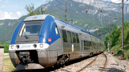 17 moutons percutés par un train à Châteauroux les Alpes 17 moutons percutés par un train à Châteauroux les Alpes
