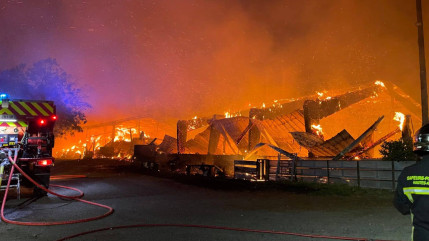 200 agneaux d&eacute;c&egrave;dent dans l'incendie de trois hangars agricoles &agrave; Rousset