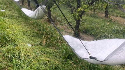Apr&egrave;s un &eacute;pisode climatique violent, de gros d&eacute;g&acirc;ts sur plusieurs exploitations des Hautes-Alpes