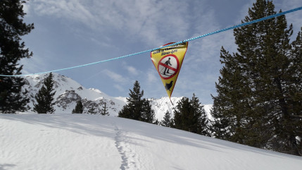 Attention &agrave; ne pas d&eacute;ranger le t&eacute;tras-lyre l'hiver