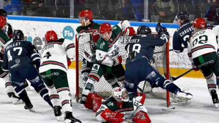 Battus par Anglet, les Rapaces de Gap ont un patin en Division 1 : pourquoi la relégation n'est pas encore officielle Battus par Anglet, les Rapaces de Gap ont un patin en Division 1 : pourquoi la relégation n'est pas encore officielle