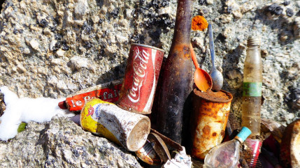 Des b&eacute;n&eacute;voles esp&eacute;r&eacute;s pour nettoyer le lac Rond &agrave; La Salle les Alpes