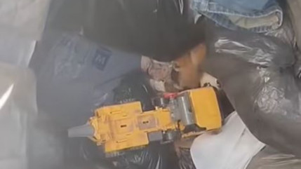 Des chatons une nouvelle fois d&eacute;couverts dans une poubelle &agrave; Baratier