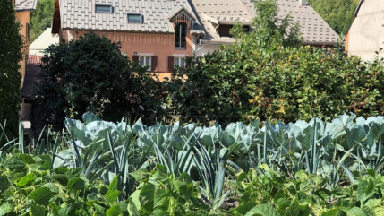 Des nouveaux potagers disponibles pour les habitants de Saint-Chaffrey Des nouveaux potagers disponibles pour les habitants de Saint-Chaffrey