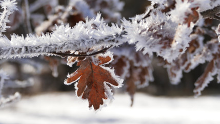 Des températures « glaciales » jusqu’à -20 degrés sur les Hautes-Alpes Des températures « glaciales » jusqu’à -20 degrés sur les Hautes-Alpes