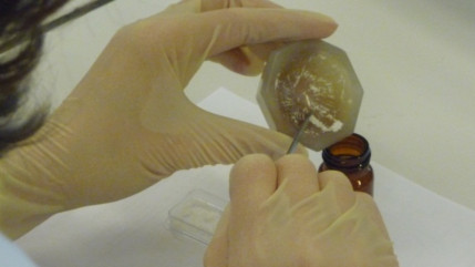 Deux condamnations &agrave; Gap sur fond de d&eacute;pendance &agrave; la coca&iuml;ne