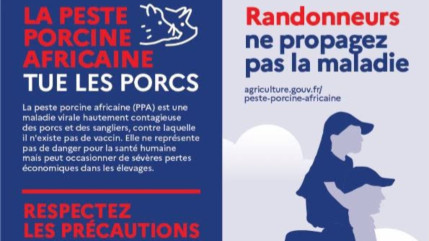 En randonn&eacute;e, les restes alimentaires contenant du porc ne doivent pas &ecirc;tre laiss&eacute;s dans la nature