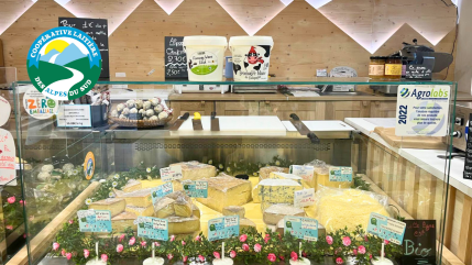 Go&ucirc;tez l&rsquo;authenticit&eacute; des montagnes &agrave; deux pas de la gare de Montdauphin !