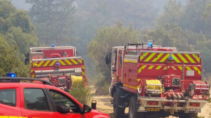Hautes-Alpes : 2 000 m&sup2; br&ucirc;l&eacute;s dans un incendie pr&egrave;s du barrage de Serre-Pon&ccedil;on