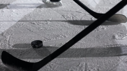 Hautes-Alpes : belle victoire pour les Rapaces