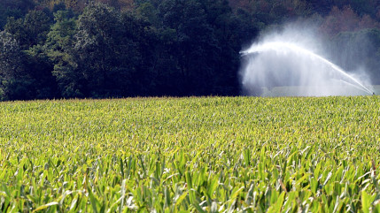 Hautes-Alpes : face aux restrictions d&rsquo;eau, des agriculteurs alertent sur un risque de "catastrophe"