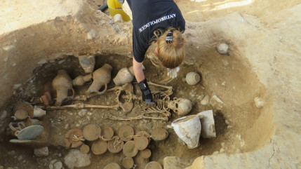 Hautes-Alpes : l'archéologie mise à l’honneur par le Musée muséum départemental de Gap Hautes-Alpes : l'archéologie mise à l’honneur par le Musée muséum départemental de Gap