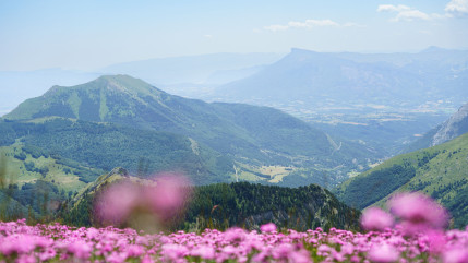 Hautes-Alpes : l’office de tourisme Gap Tallard Vallées veut votre avis pour un tourisme vertueux