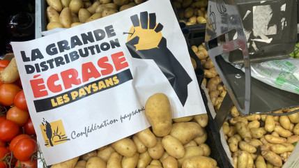 Hautes-Alpes : la Confédération paysanne toujours mobilisée Hautes-Alpes : la Confédération paysanne toujours mobilisée