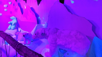 Hautes-Alpes : la magie de Noël s’installe dans le Pays des Écrins