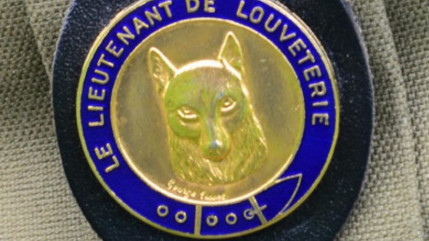 Hautes-Alpes : la pr&eacute;fecture cherche de nouveaux lieutenants de louveterie