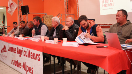 Hautes-Alpes : le bureau des Jeunes Agriculteurs renouvelé Hautes-Alpes : le bureau des Jeunes Agriculteurs renouvelé