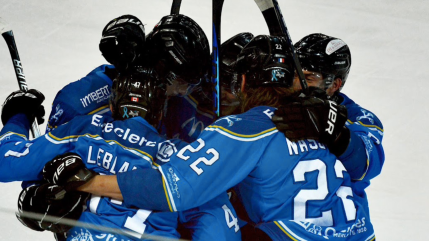Hautes-Alpes : les Rapaces de Gap s'imposent dans un derby décisif Hautes-Alpes : les Rapaces de Gap s'imposent dans un derby décisif
