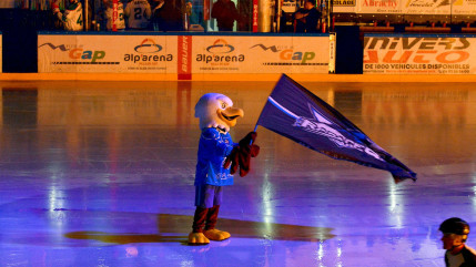 Hautes-Alpes : Ligue Magnus, une soirée pour confirmer pour les Rapaces Hautes-Alpes : Ligue Magnus, une soirée pour confirmer pour les Rapaces