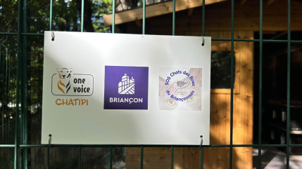 Hautes-Alpes : pour lutter contre l’errance féline, le programme Chatipi se déploie dans le Briançonnais Hautes-Alpes : pour lutter contre l’errance féline, le programme Chatipi se déploie dans le Briançonnais