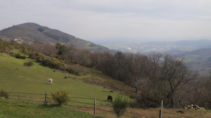 Hautes-Alpes : une randonn&eacute;e pour mieux comprendre les risques naturels en montagne