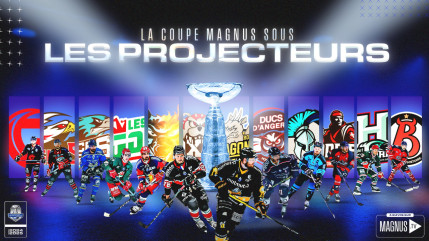 Hautes-Alpes : une soirée d’émotions pour la Ligue Magnus Hautes-Alpes : une soirée d’émotions pour la Ligue Magnus