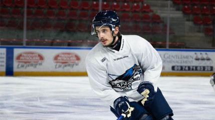 Hockey : les Rapaces de Gap joueront trois matchs de pr&eacute;paration &agrave; l&rsquo;Alp&rsquo;Arena avant la Ligue Magnus