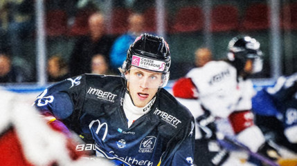 Hockey sur glace : les Rapaces de Gap défient les Boxers de Bordeaux Hockey sur glace : les Rapaces de Gap défient les Boxers de Bordeaux