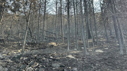 Incendie, un soutien psychologique mis en place &agrave; Freissini&egrave;res