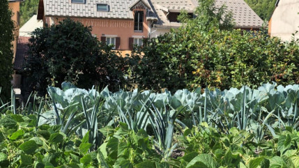 Jardins partag&eacute;s &agrave; Saint-Chaffrey, un appel aux habitants lanc&eacute;