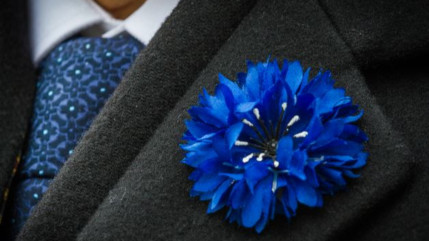 Le Bleuet pour soutenir les anciens combattants et les victimes d’actes de terrorisme