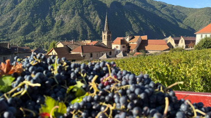 Le Syndicat des Vignerons des Hautes-Alpes se voit décerner du Prix de l’Académie Delphinale Le Syndicat des Vignerons des Hautes-Alpes se voit décerner du Prix de l’Académie Delphinale