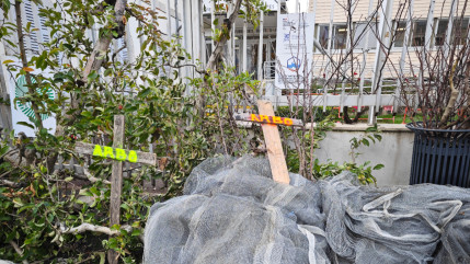 Les arboriculteurs inquiets dans les Hautes-Alpes face à "toujours plus de normes"