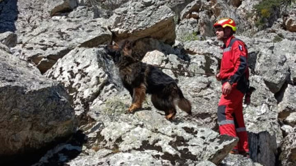 Les équipes cynophiles en exercice grandeur nature dans les Hautes-Alpes Les équipes cynophiles en exercice grandeur nature dans les Hautes-Alpes