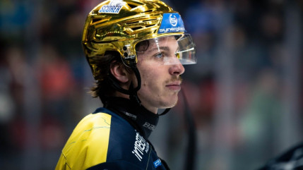 Les Rapaces battus à Marseille Les Rapaces battus à Marseille