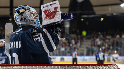 Les Rapaces de Gap braconnés à Anglet (5-3) Les Rapaces de Gap braconnés à Anglet (5-3)