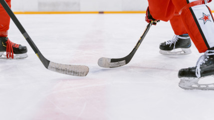 Ligue Magnus : Brian&ccedil;on renverse Angers, Gap &eacute;choue au bout du suspense