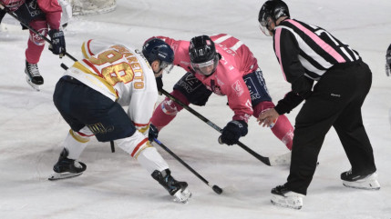 Ligue Magnus : Gap prend sa revanche sur Nice (4-1) et laisse Briançon à l'avant-dernière place Ligue Magnus : Gap prend sa revanche sur Nice (4-1) et laisse Briançon à l'avant-dernière place