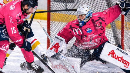 Ligue Magnus : les Rapaces de Gap s'offrent le champion, Briançon retrouve la victoire Ligue Magnus : les Rapaces de Gap s'offrent le champion, Briançon retrouve la victoire